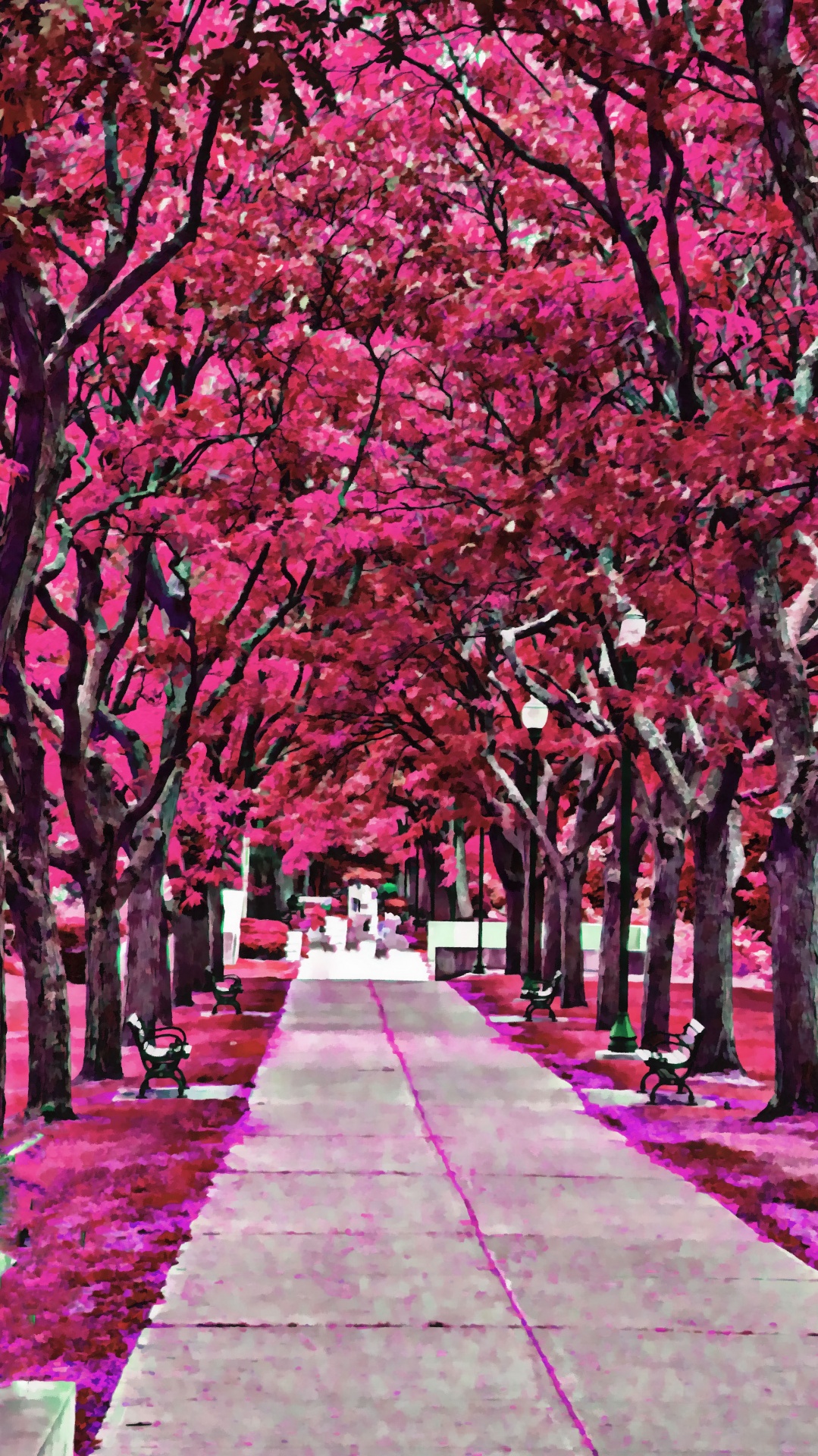tree trees pink free photo