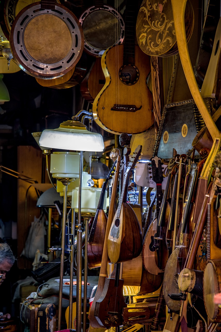 luthier  instrument  music free photo