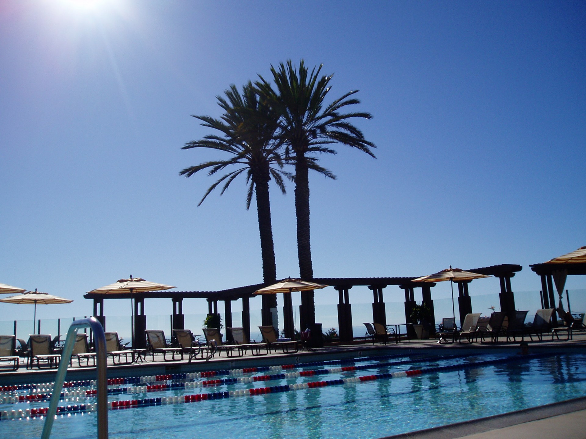 blue sky palm trees hotel pool free photo