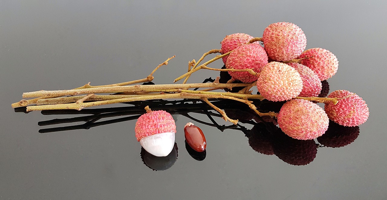 lychee  litchi nut  tree free photo