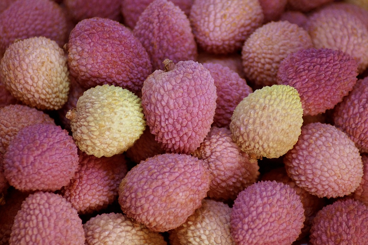 lychee  litchi  fruits free photo