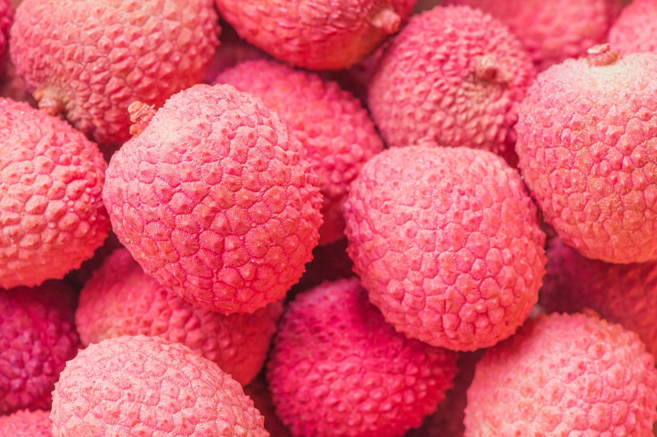 lychee fruits pink free photo