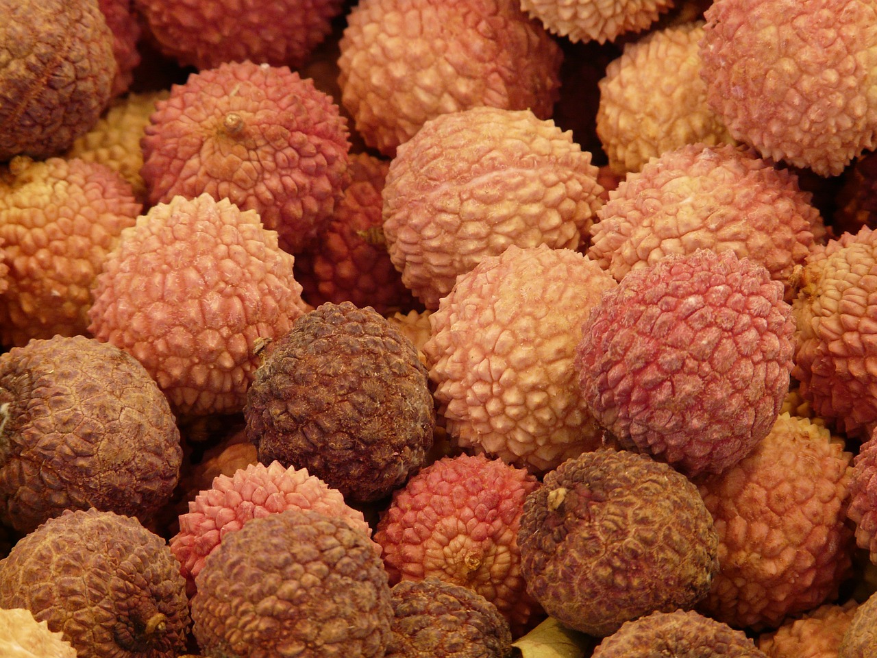 lychee litchi chinensis fruits litsch free photo