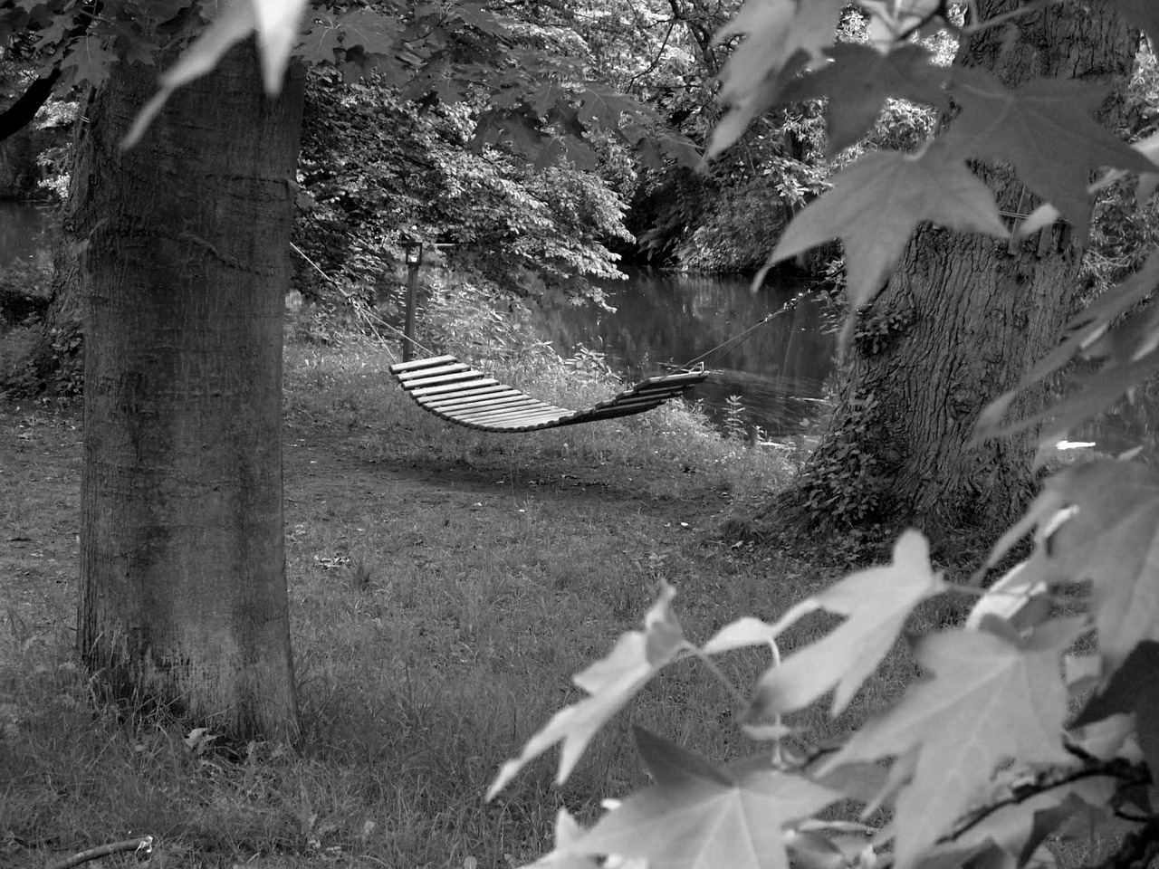 lying mat black white meadow free photo