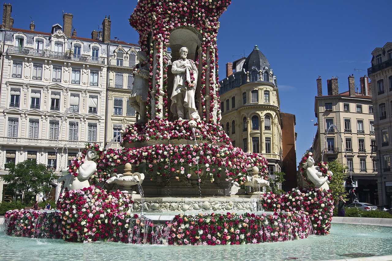 lyon fountain flower free photo