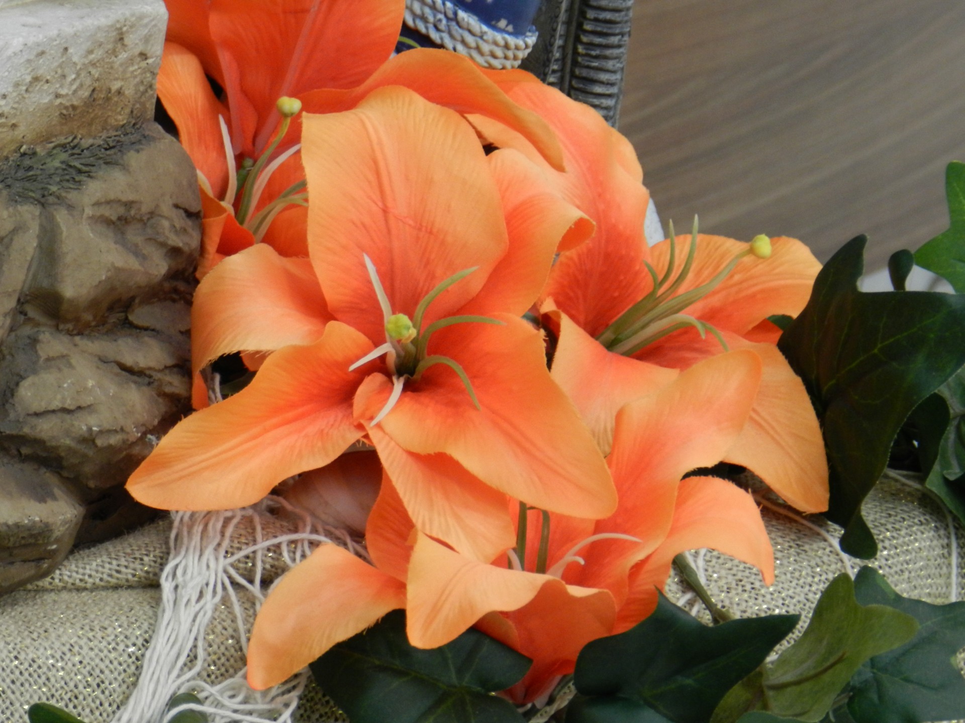 lilies flowers orange free photo