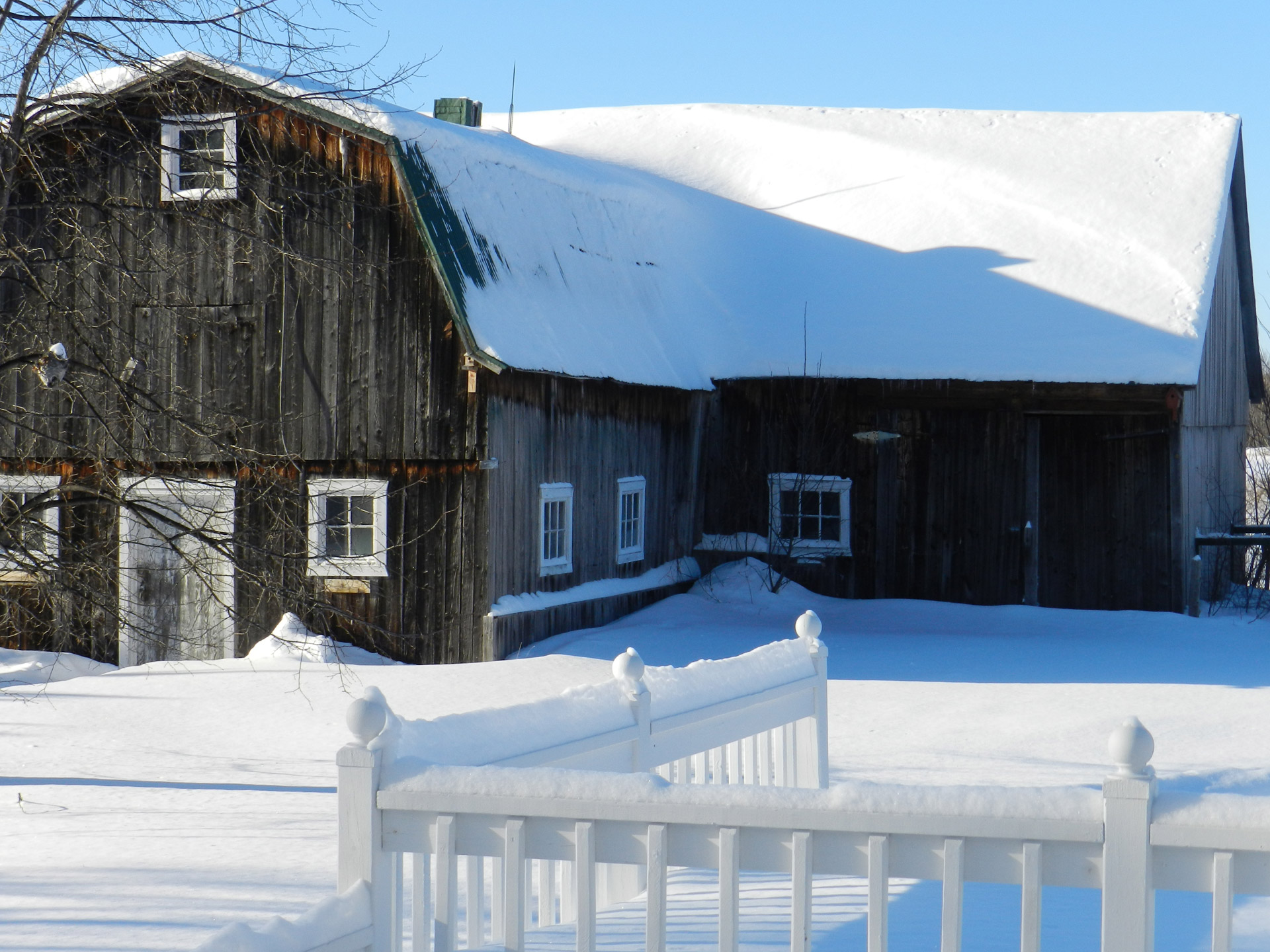 landscape countryside winter free photo