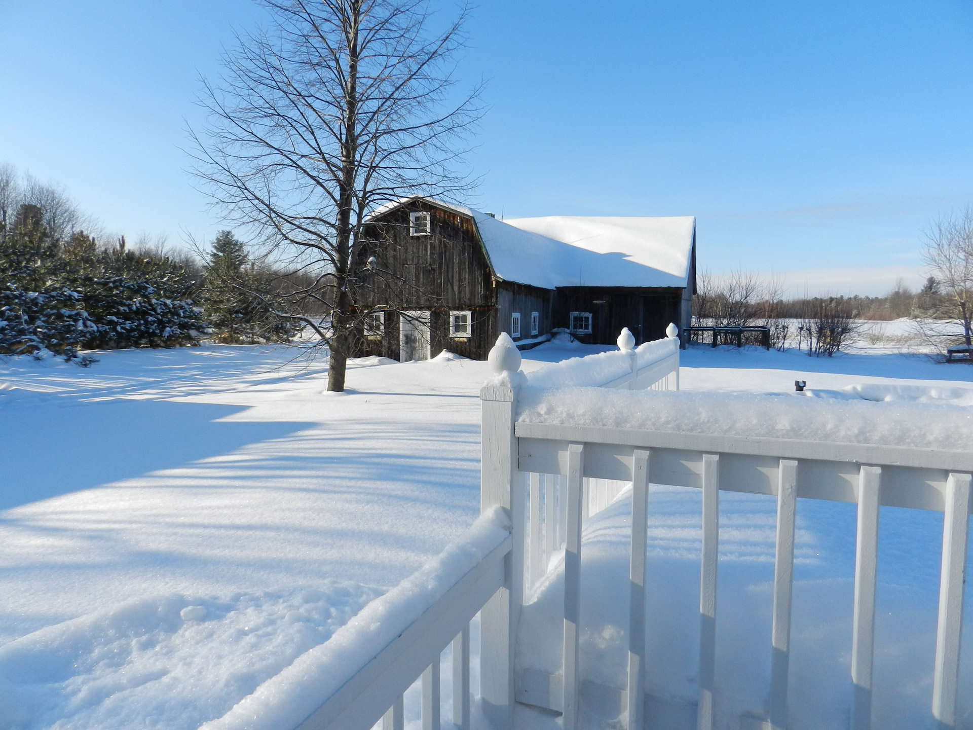 landscape countryside winter free photo