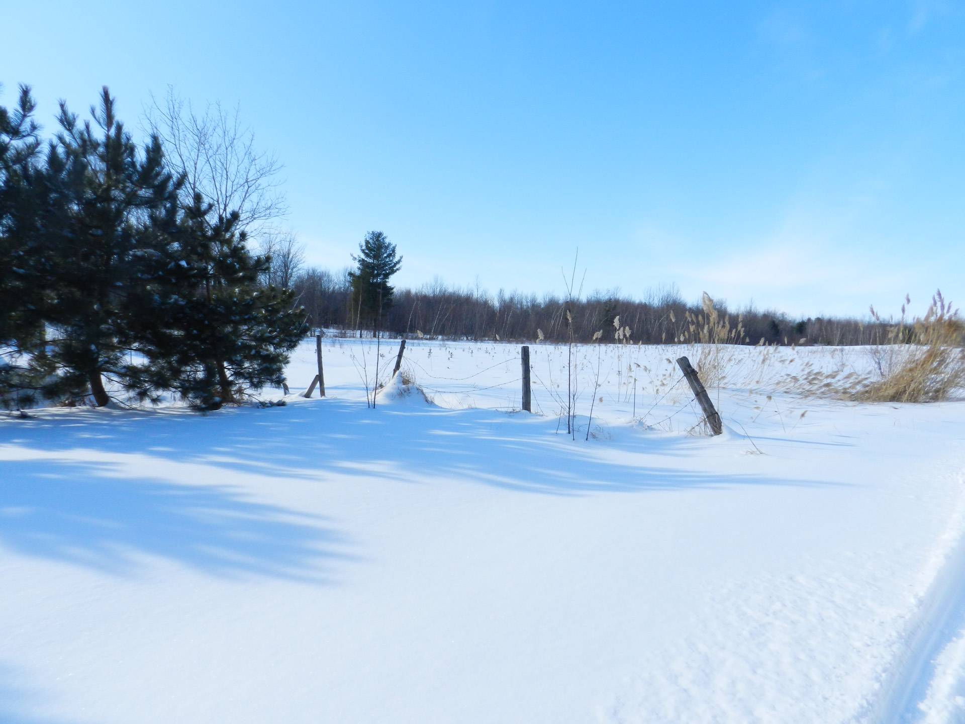 landscape countryside winter free photo