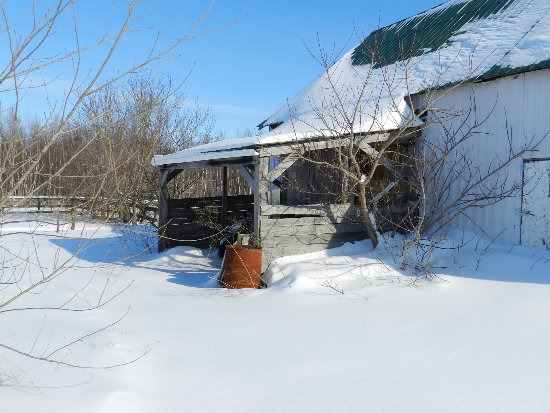 landscape countryside winter free photo