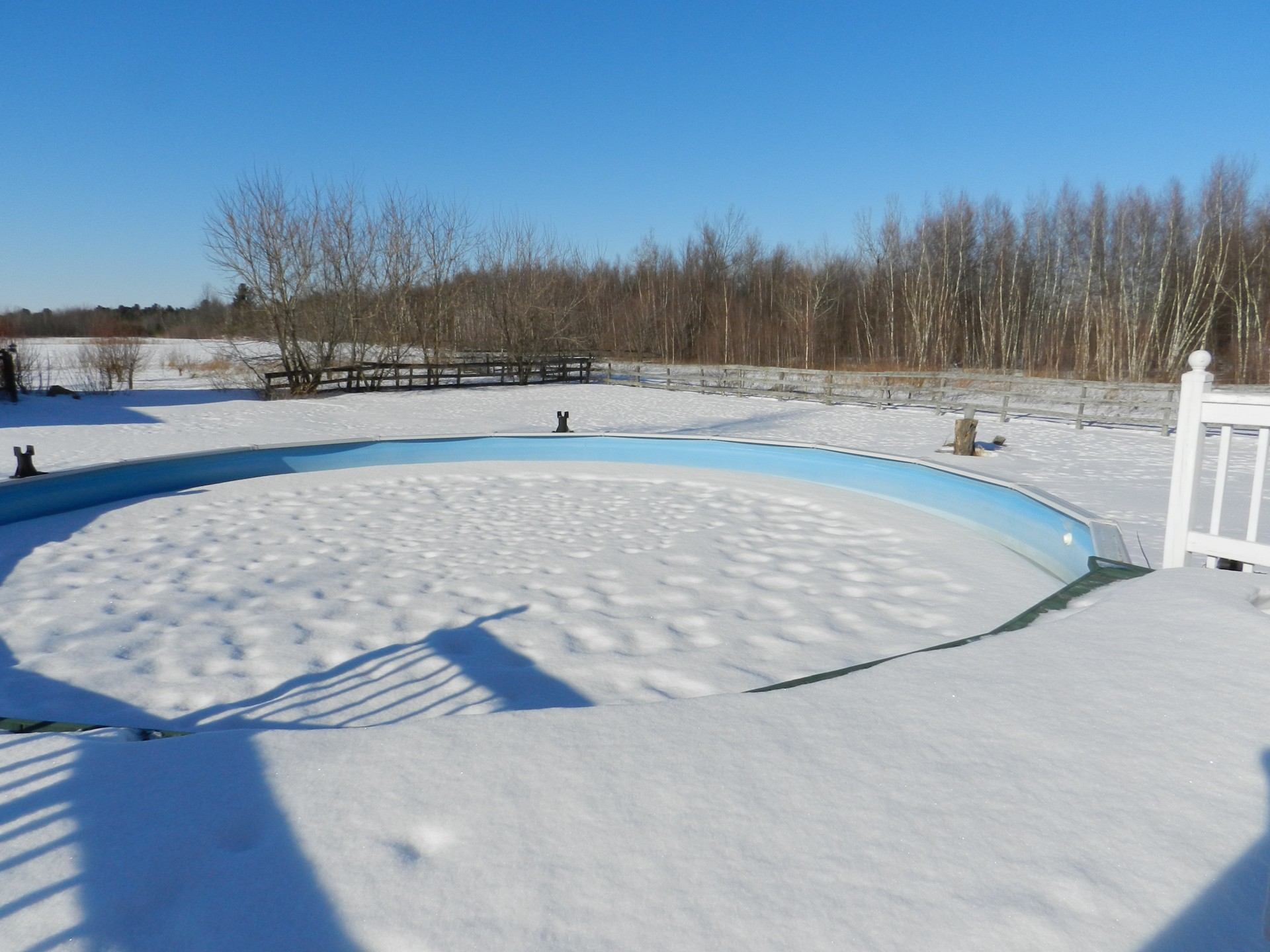 landscape winter swimming pool free photo