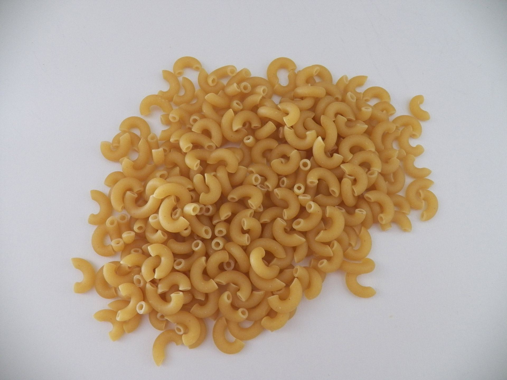elbow macaroni pasta cooking free photo