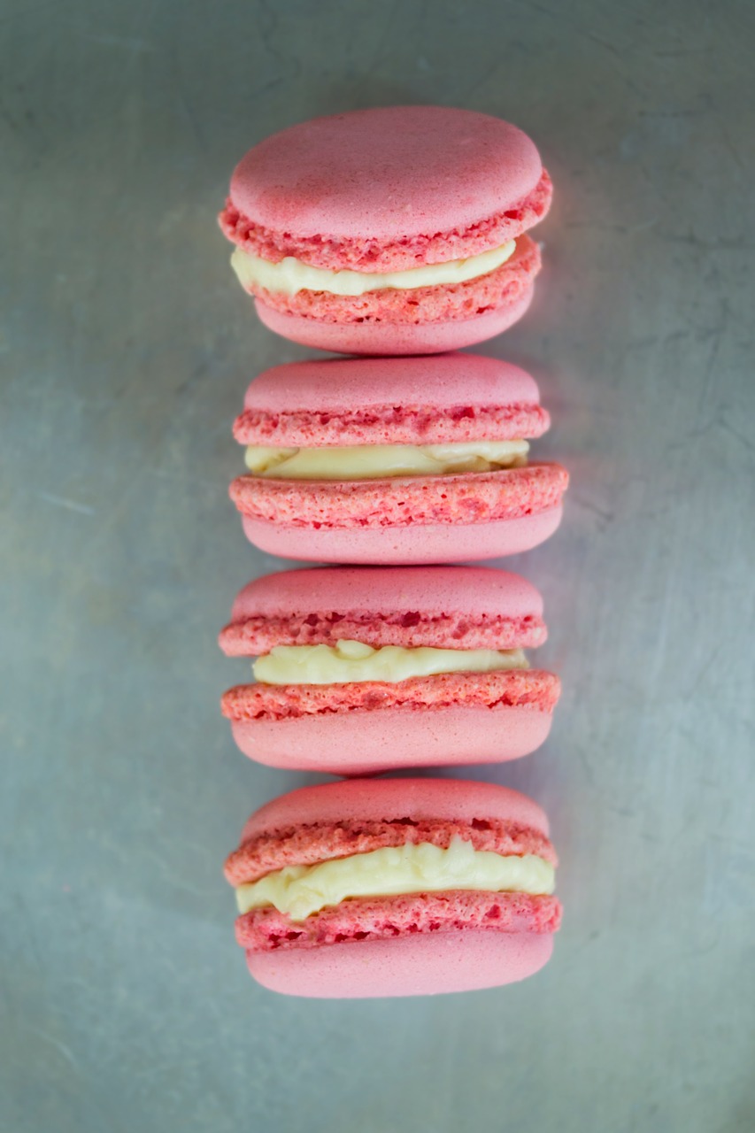 macarons dessert french cuisine free photo