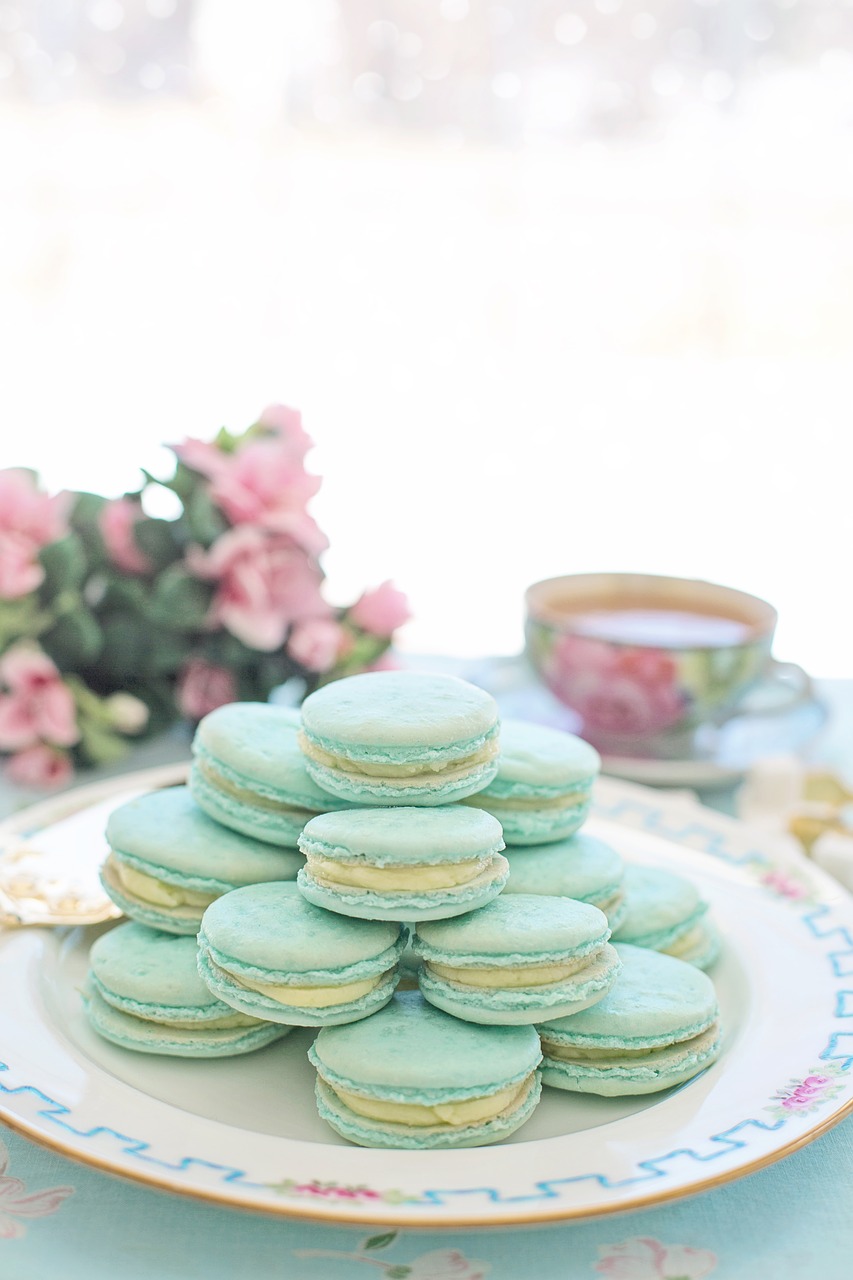 macarons  pink  aqua free photo