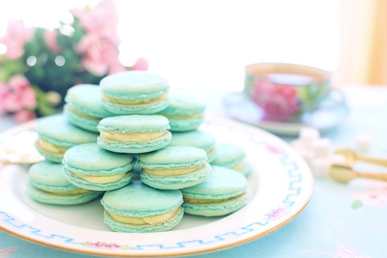 macarons  pink  aqua free photo