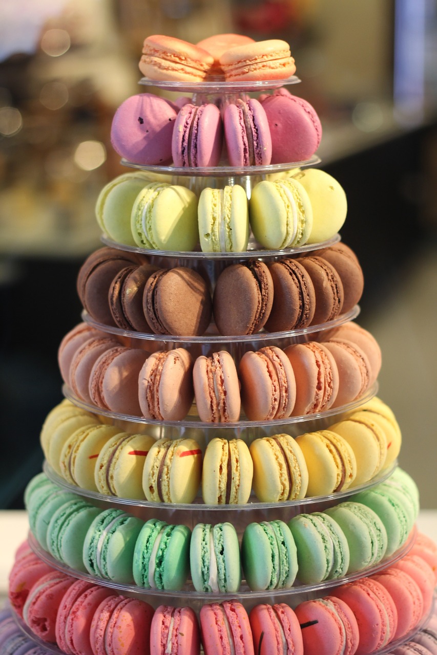 macarons colorful french free photo