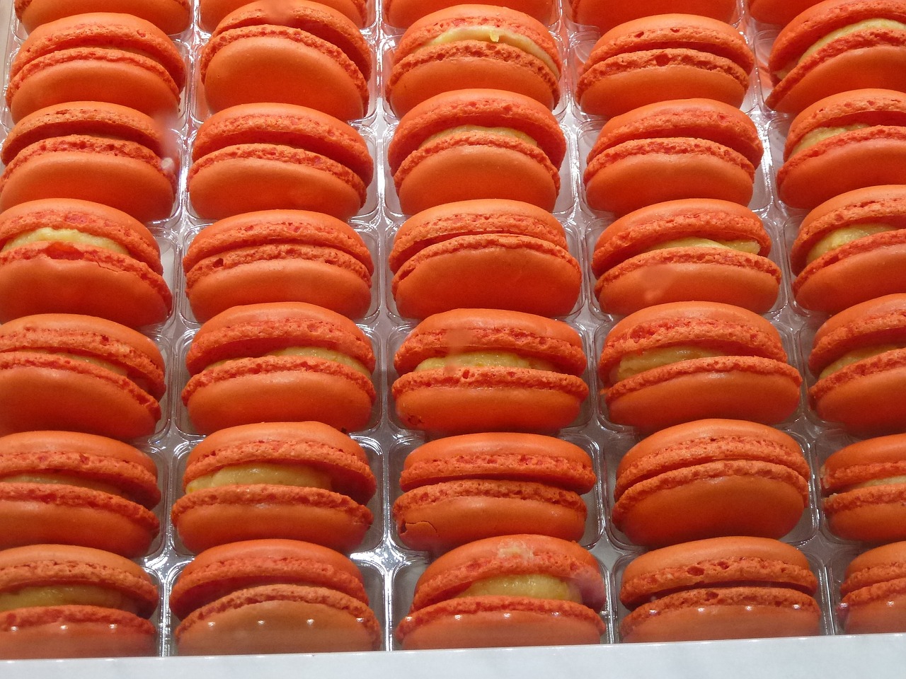 macaroons paris orange free photo