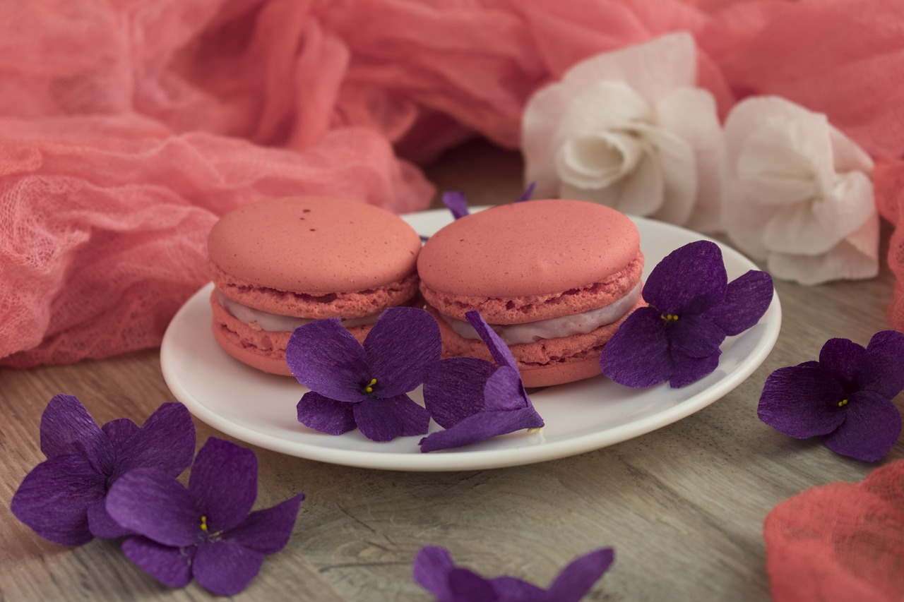 macaroons  macro  cookies free photo