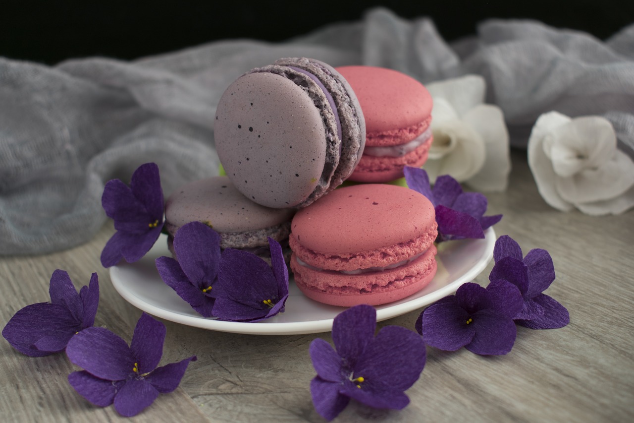 macaroons  macro  cookies free photo