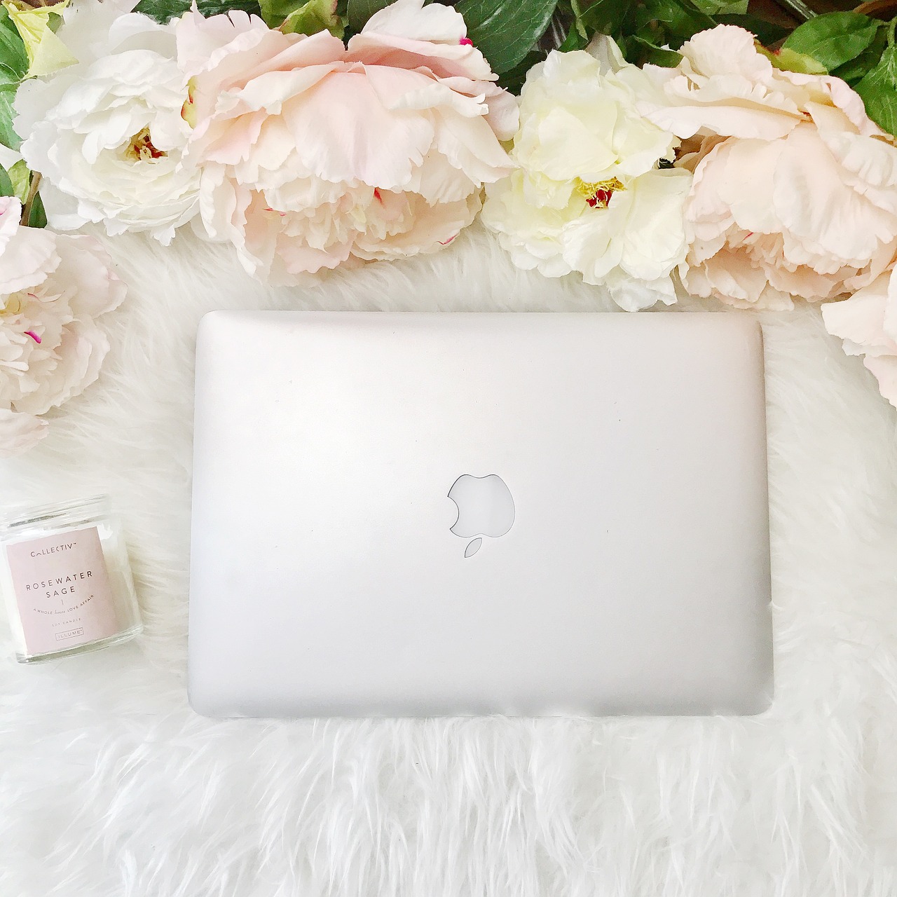 macbook laptop peonies free photo