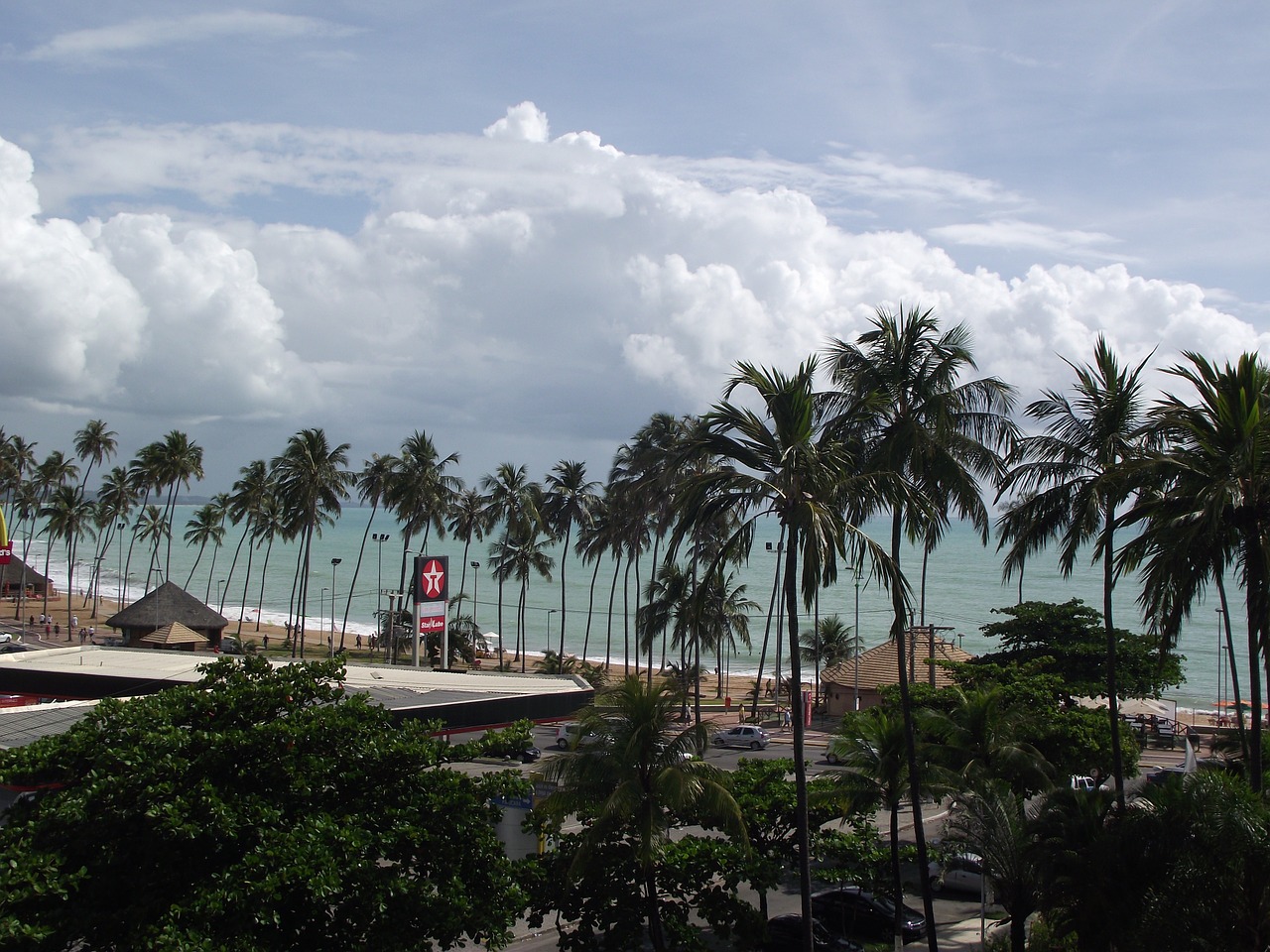 maceió beach mar free photo