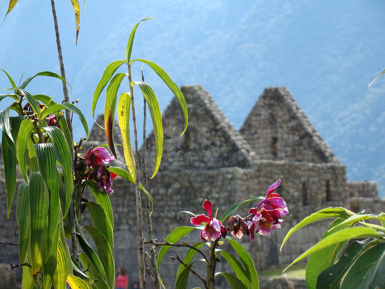 machu picchu peru inca free photo