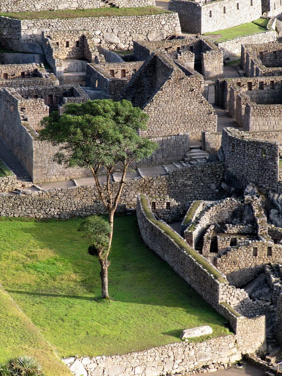 machu picchu peru andes free photo