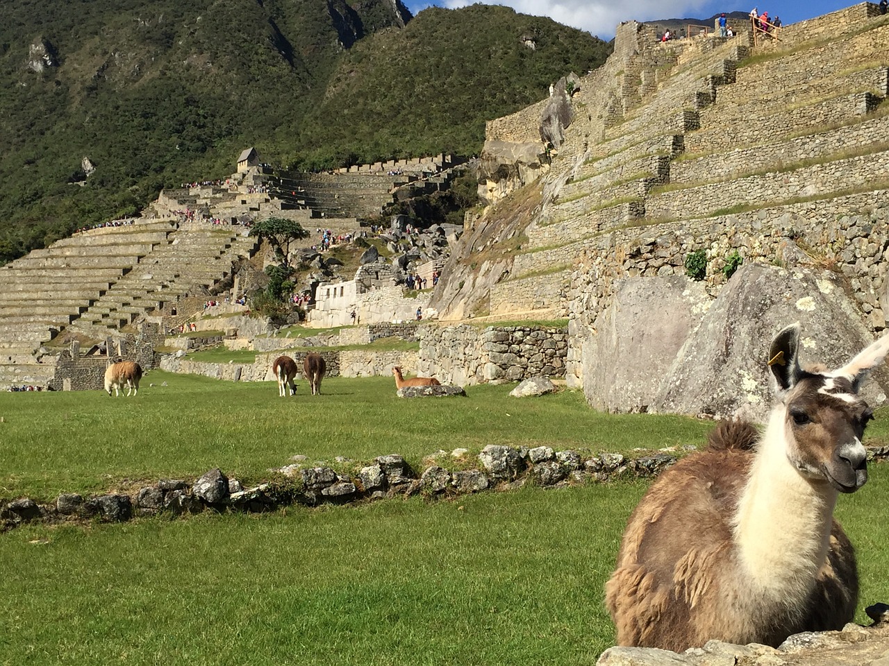 machu pichu peru hiking free photo