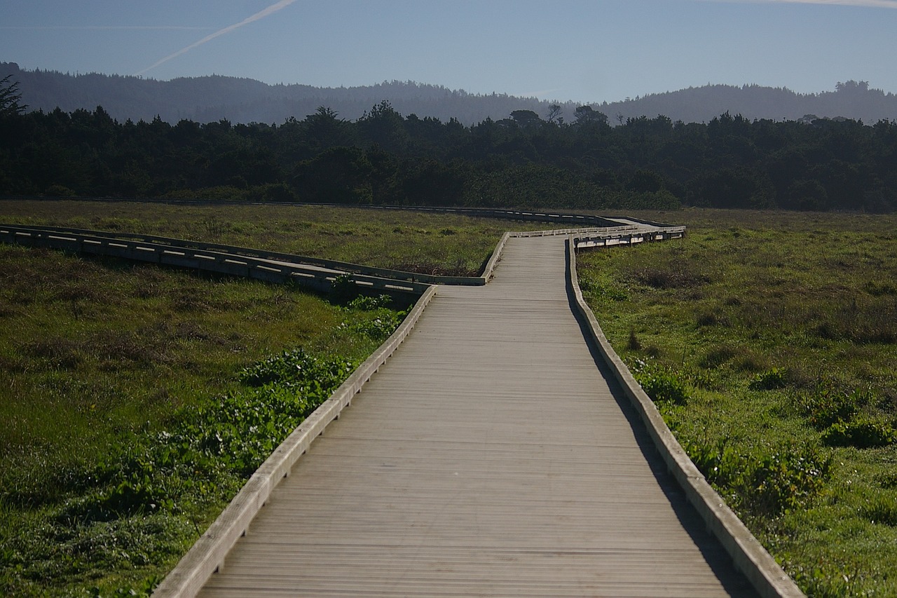 mackerricher state park california boardwalk free photo