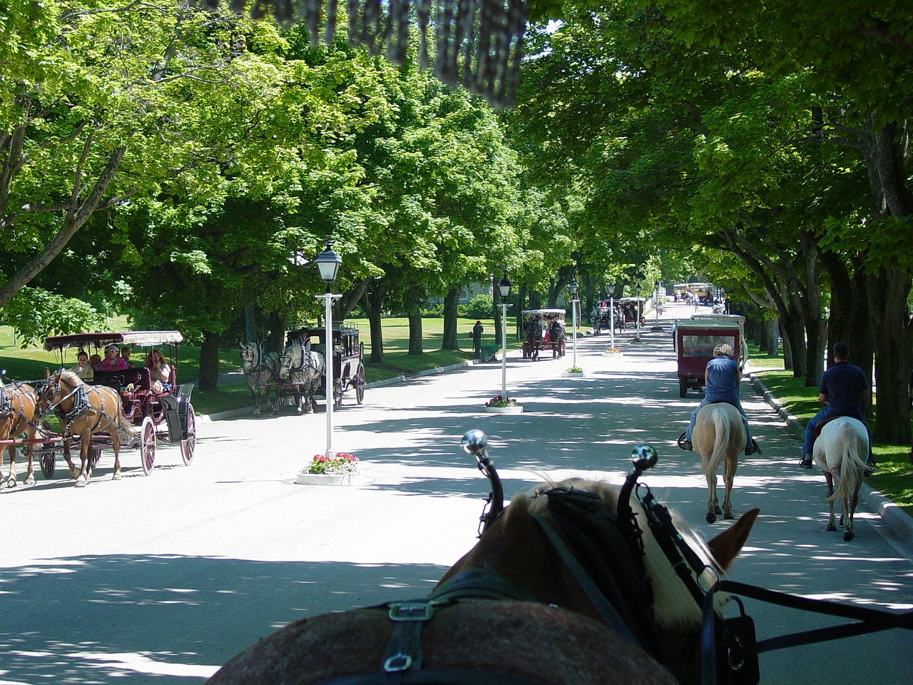 mackinac island michigan island free photo