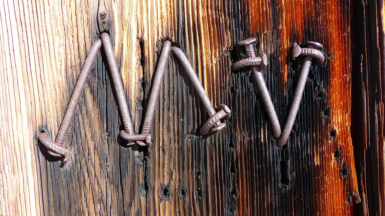 macro nails wood free photo