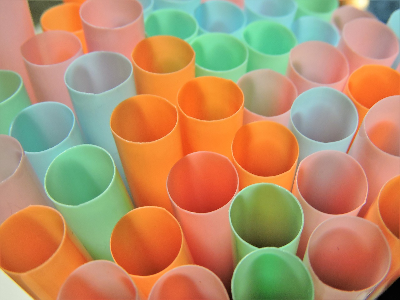 macro straws colorful free photo