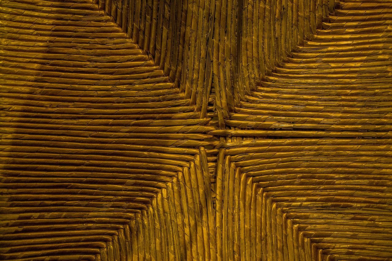 macro texture wood free photo