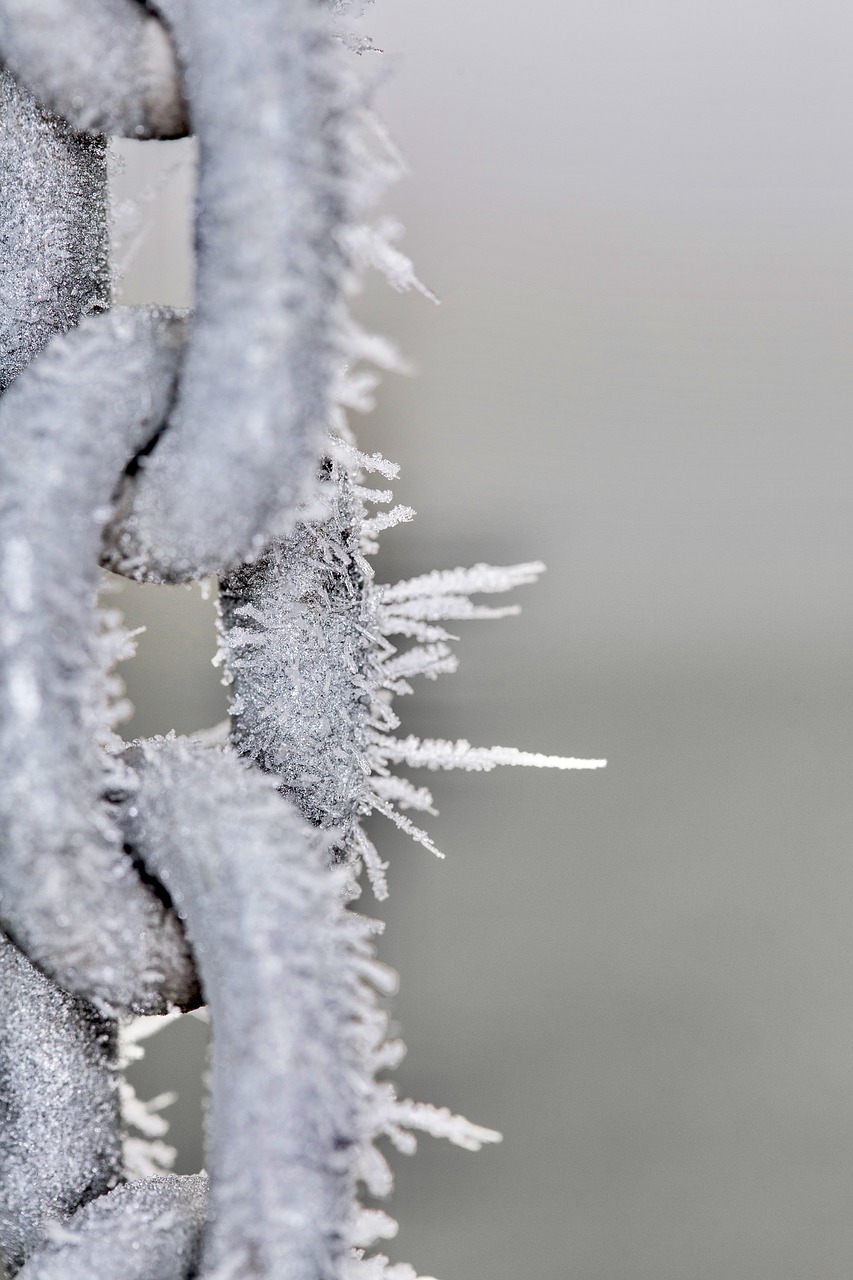 macro chain winter free photo