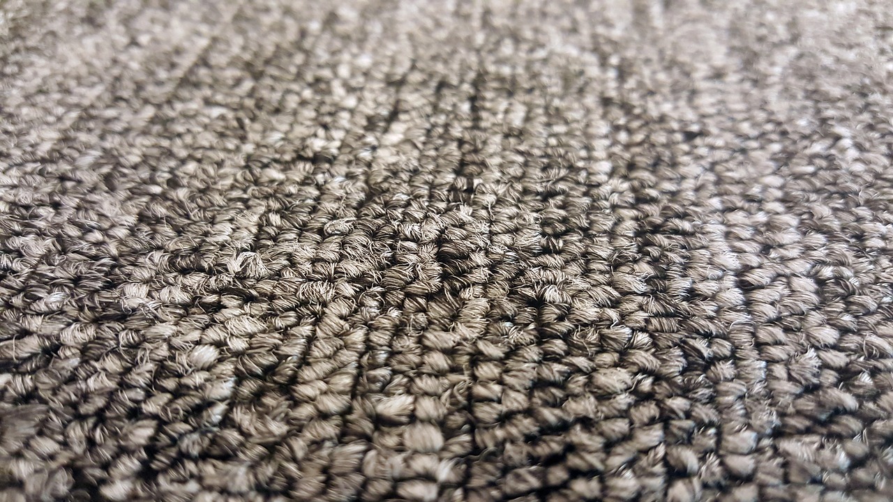 macro carpet gray free photo