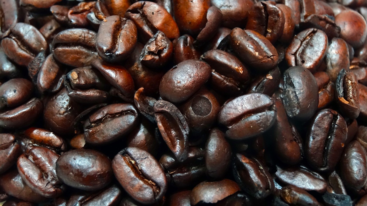 macro coffee beans coffee beans closeup free photo