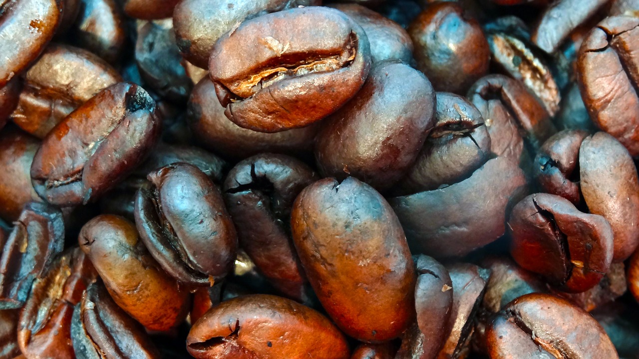 macro coffee beans coffee beans closeup free photo