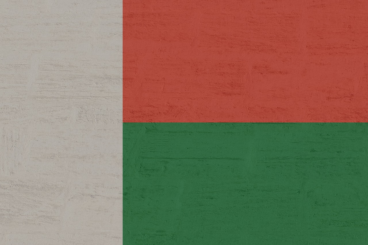 madagascar flag international free photo