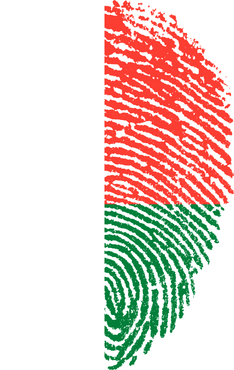 madagascar flag fingerprint free photo