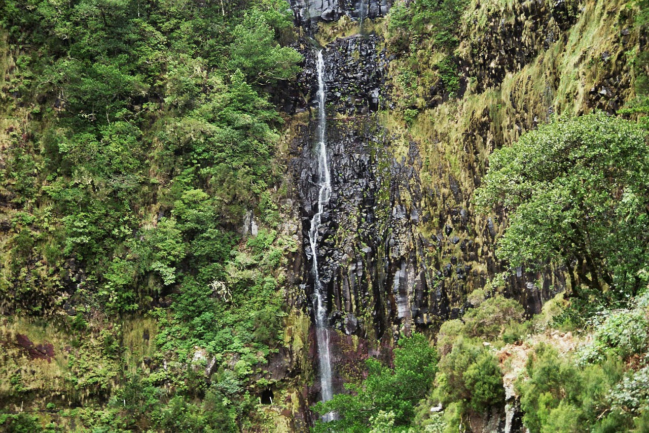madeira waterfall highlands free photo