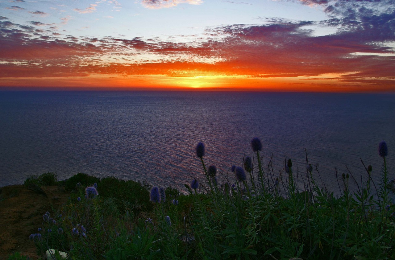 madeira sunset sea free photo