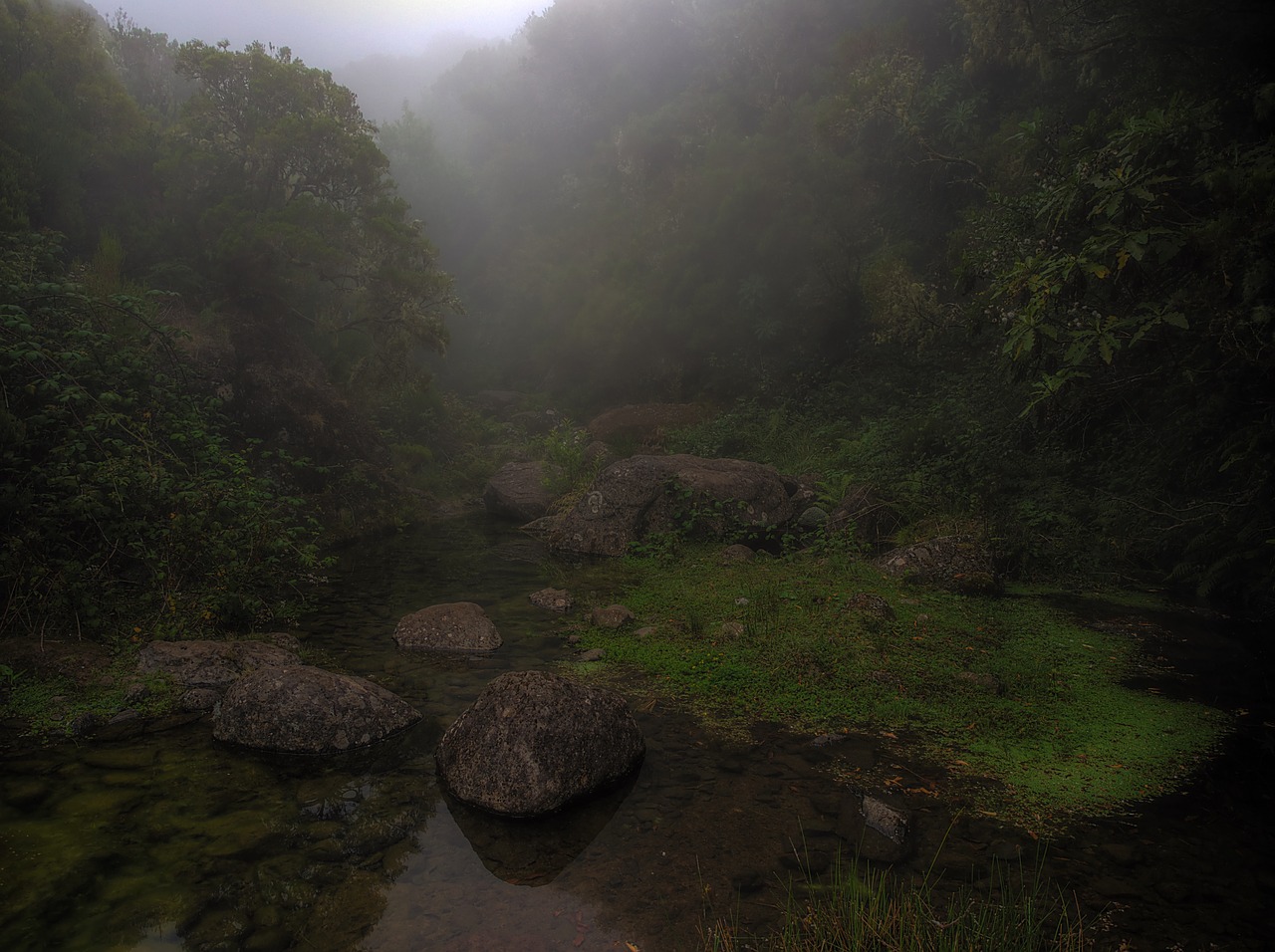 madeira fog clouds free photo