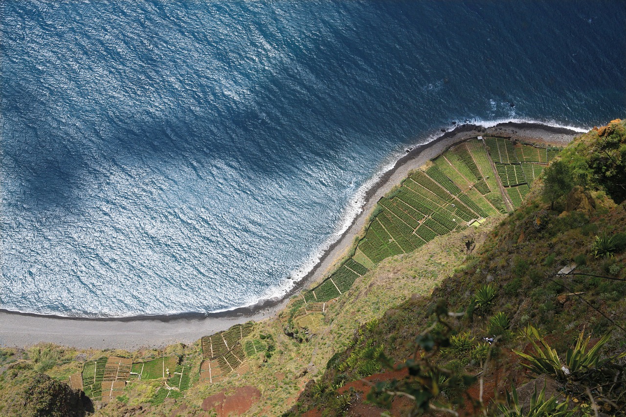 madeira portugal cliff free photo