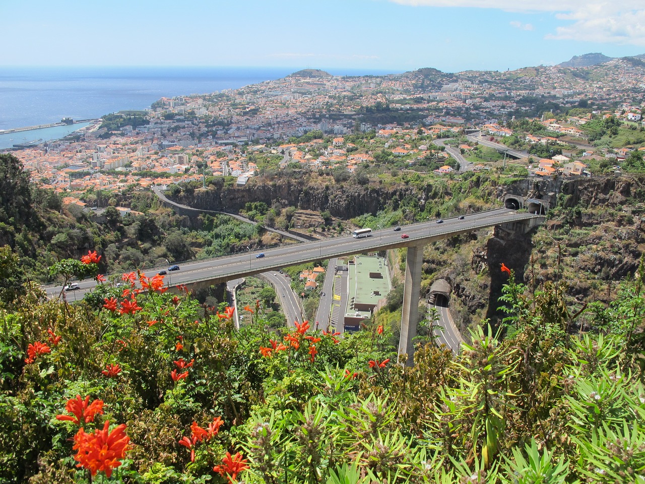 madeira portugal travel free photo