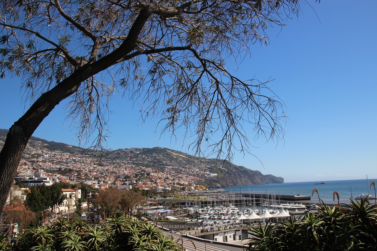 madeira funchal portugal free photo