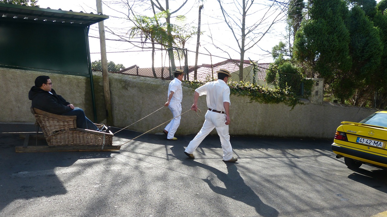 madeira portugal funchal free photo