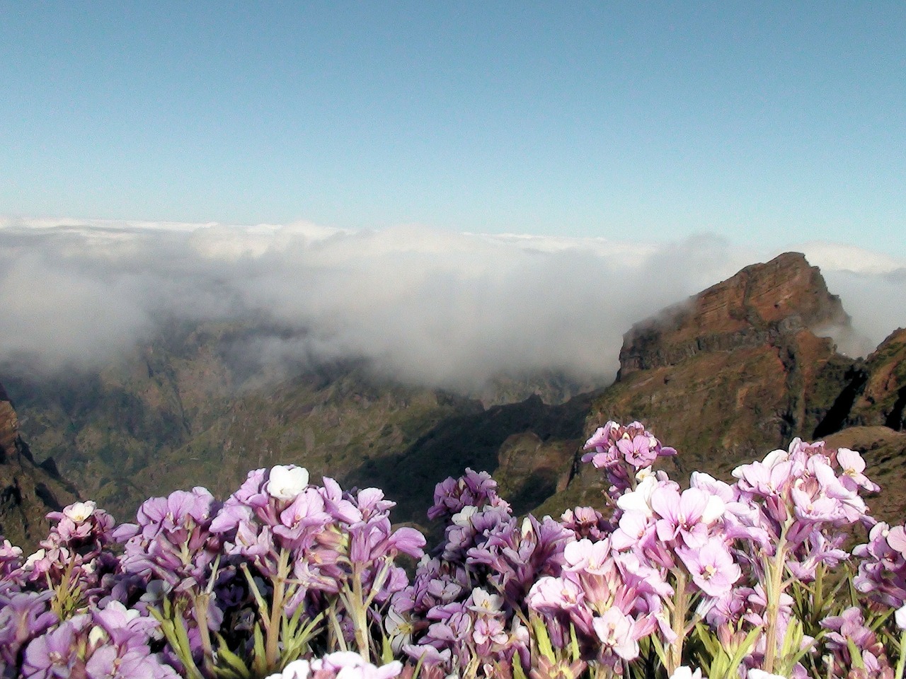 madeira mountain summit free photo