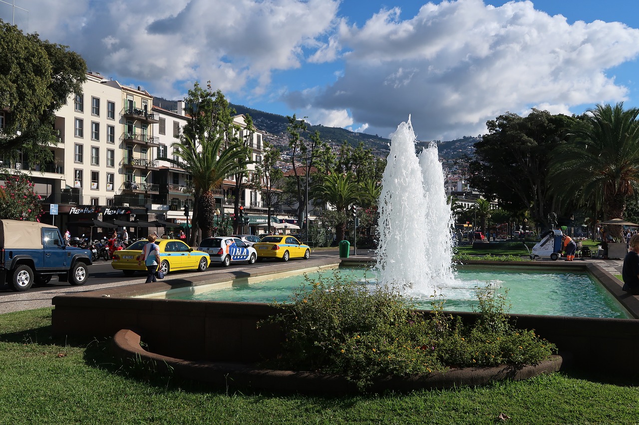 madeira  city  street free photo