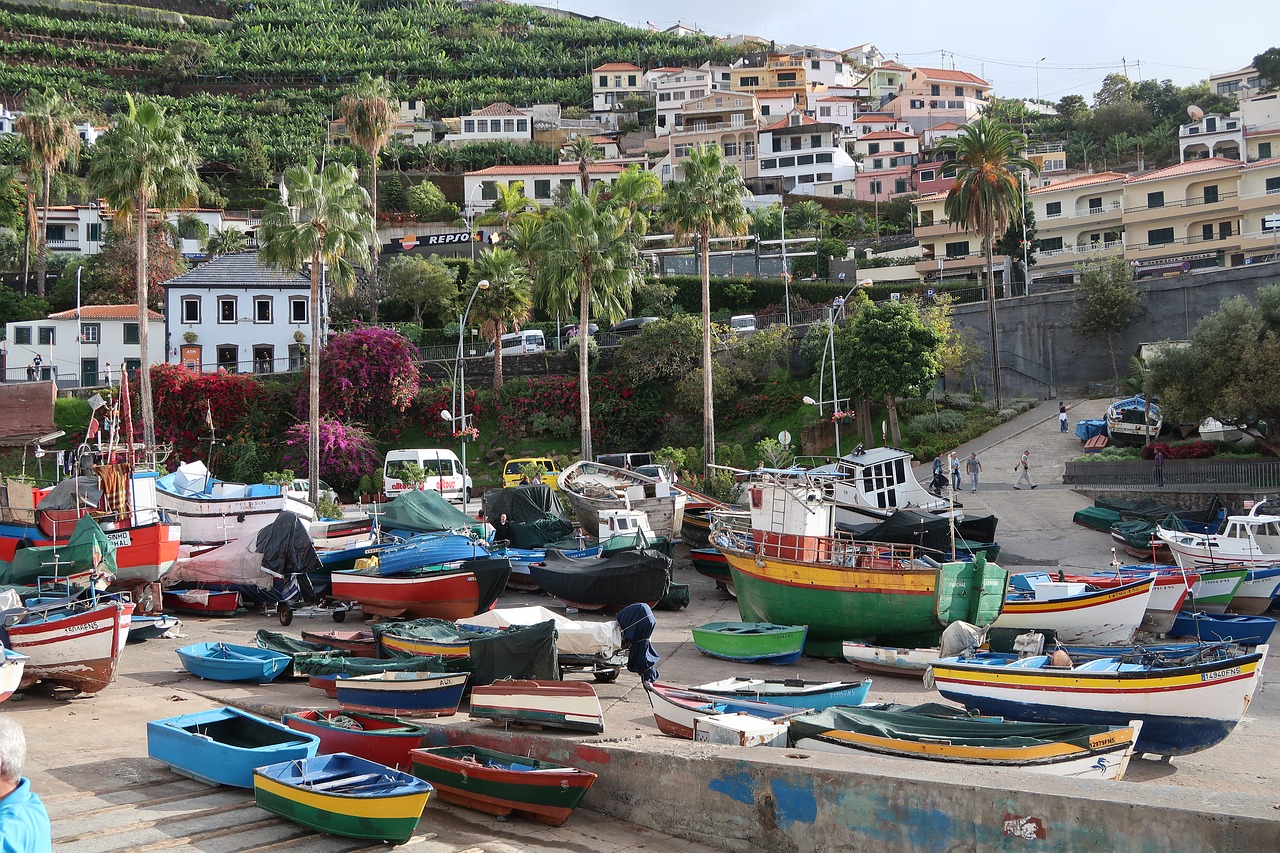 madeira  boat  town free photo