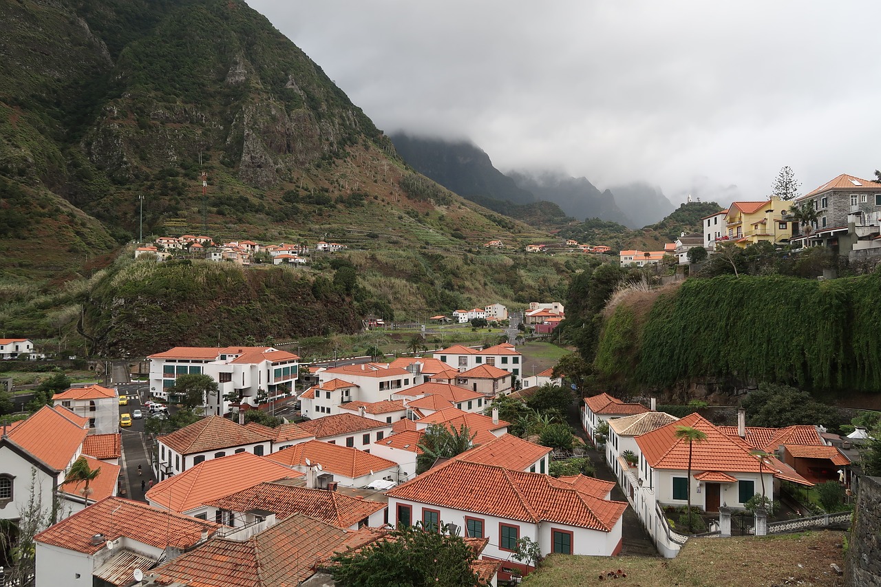 madeira  town  architecture free photo